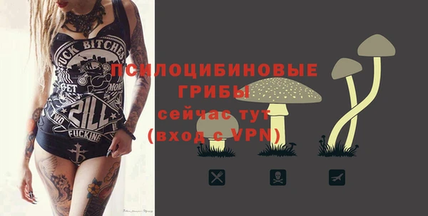 стафф Лабытнанги