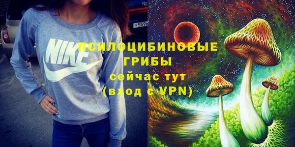 стафф Лабытнанги