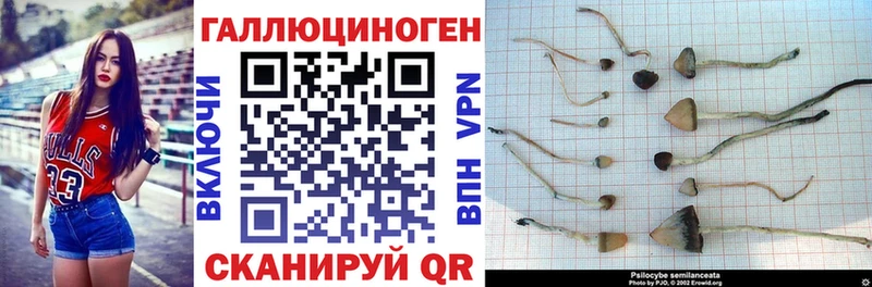 Галлюциногенные грибы MAGIC MUSHROOMS  где можно купить   Нерехта 